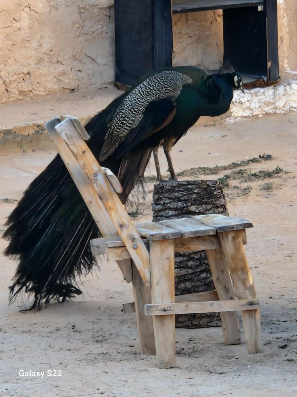 Maison D'Hote Dar Massouada Toujane Esterno foto